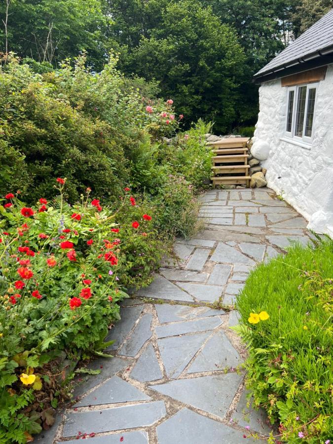 Beautiful Ancient Stone Cottage, Local Walks & Pub! Conwy Eksteriør bilde