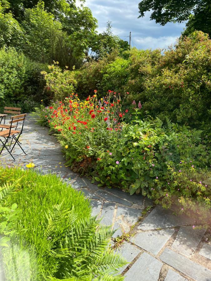 Beautiful Ancient Stone Cottage, Local Walks & Pub! Conwy Eksteriør bilde